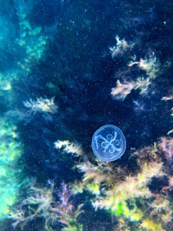 ��������� ��� � ������� �����������