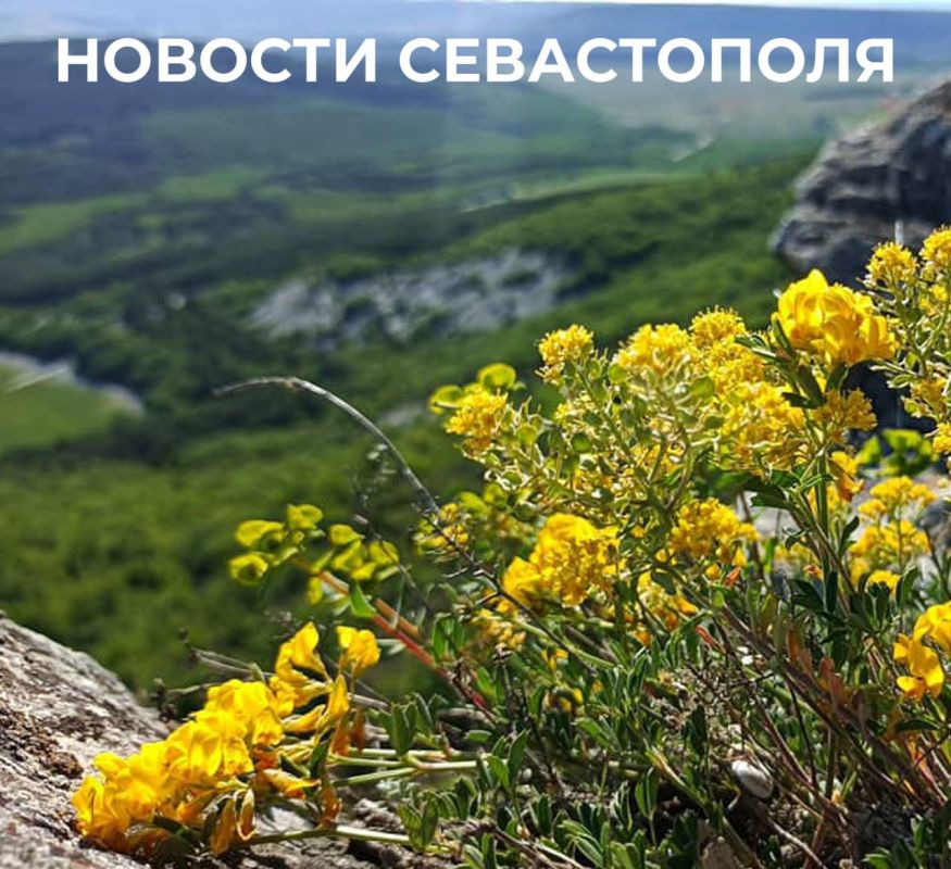 Михаил Развожаев: Итоги минувшего дня:. На аппаратном совещании правительства Севастополя подвели итоги Дня знаний и предшествовавшей ему летней оздоровительной кампании