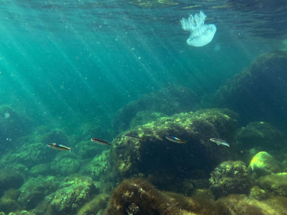 ��������� ��� � ������� �����������