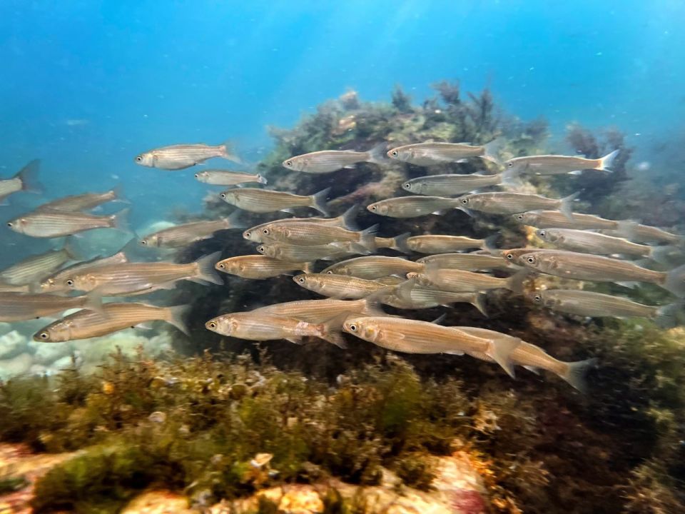 ��������� ��� � ������� �����������