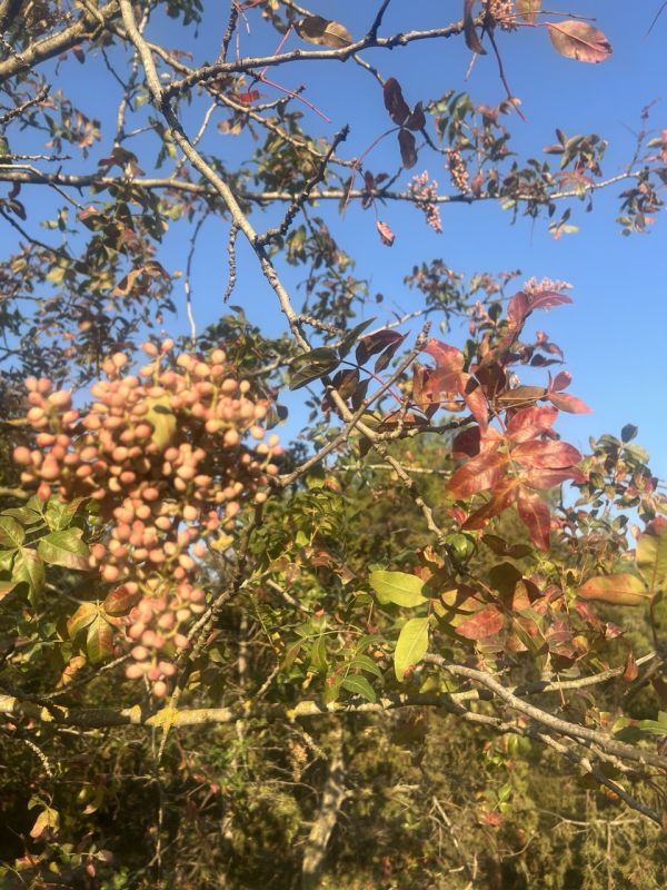 #��� �� ��������?. ��� ������ � ������� ������ � ��������� �������� ����� ����� ������, � ��� ����� ������� ������������ � �������� � ������������ �����