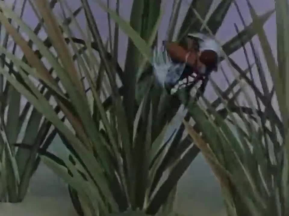 ��������� ��� �� ��!�, � ��� ����� ���������� ������ ��������� �������