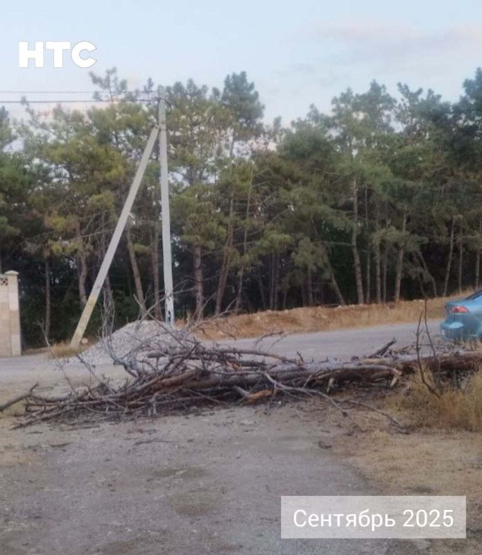 #���_�����. ������, ������� ����������� ������ �� ������ � ������ �����-����, ���������, �� �� ������. ���� �������� �����-����� ��������������, ������������� ���������� ������ �� ������. � ����� �������, ��� ��-����...