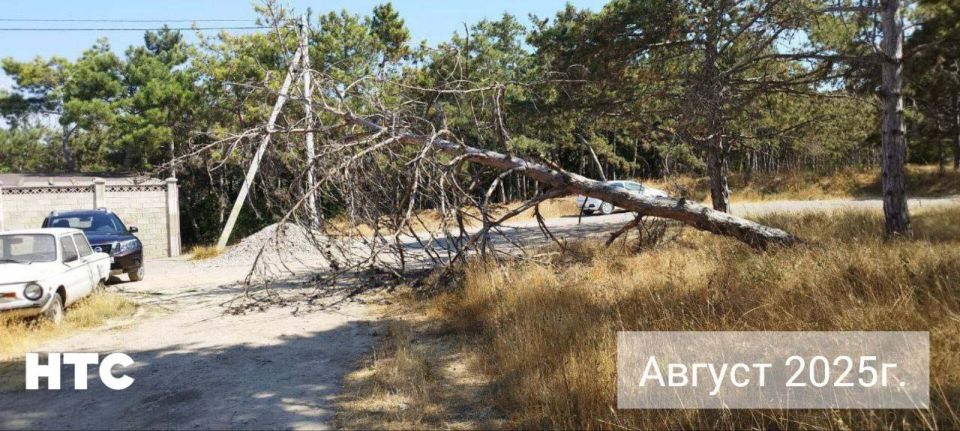 #���_�����. ������, ������� ����������� ������ �� ������ � ������ �����-����, ���������, �� �� ������. ���� �������� �����-����� ��������������, ������������� ���������� ������ �� ������. � ����� �������, ��� ��-����...