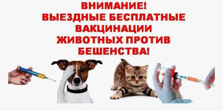 ���������� ����������� ������ ����������� ����������� � ���������� ��������������������� ������������