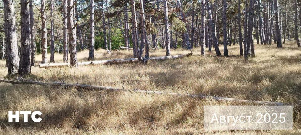 #���_�����. ������, ������� ����������� ������ �� ������ � ������ �����-����, ���������, �� �� ������. ���� �������� �����-����� ��������������, ������������� ���������� ������ �� ������. � ����� �������, ��� ��-����...