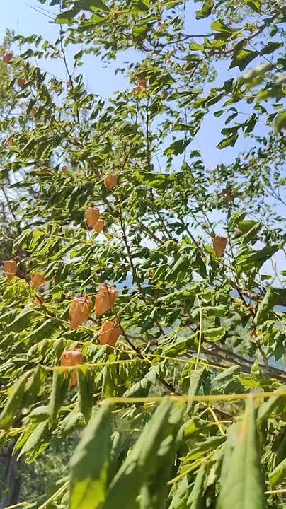 ��������� ����� �������� ������ ������, � ��� �������� ���� ��� ���������