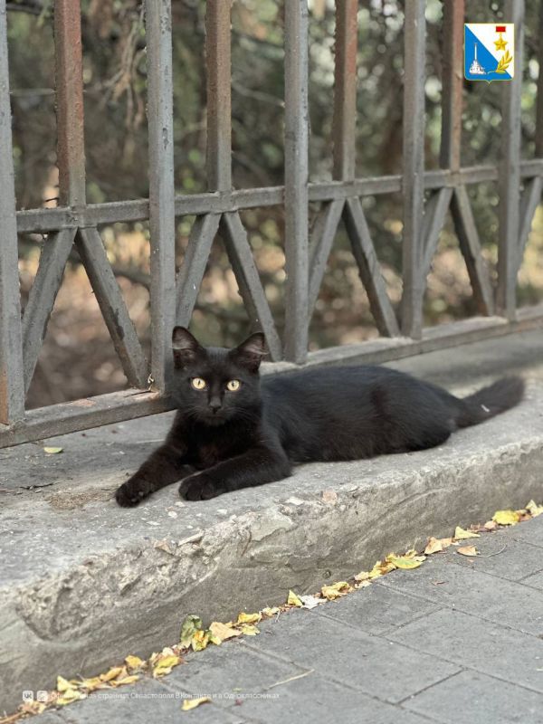 ���������� ����������. 6 �������� ������������ �������� �������� ���������� ����� � ����� ������ ���������: � 10:00 �� 12:00