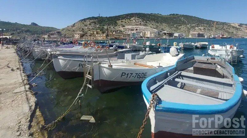 ������ ����� ��������� � ����������: ��� ����� � ����������?