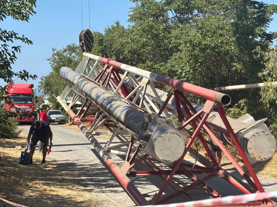 � ����������� ������������ ������������� ����������� ��������� �� ����� �����������, 14/1