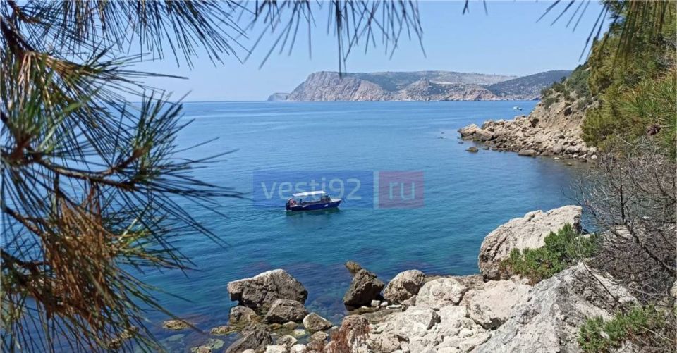 � ������ �����, �����������!