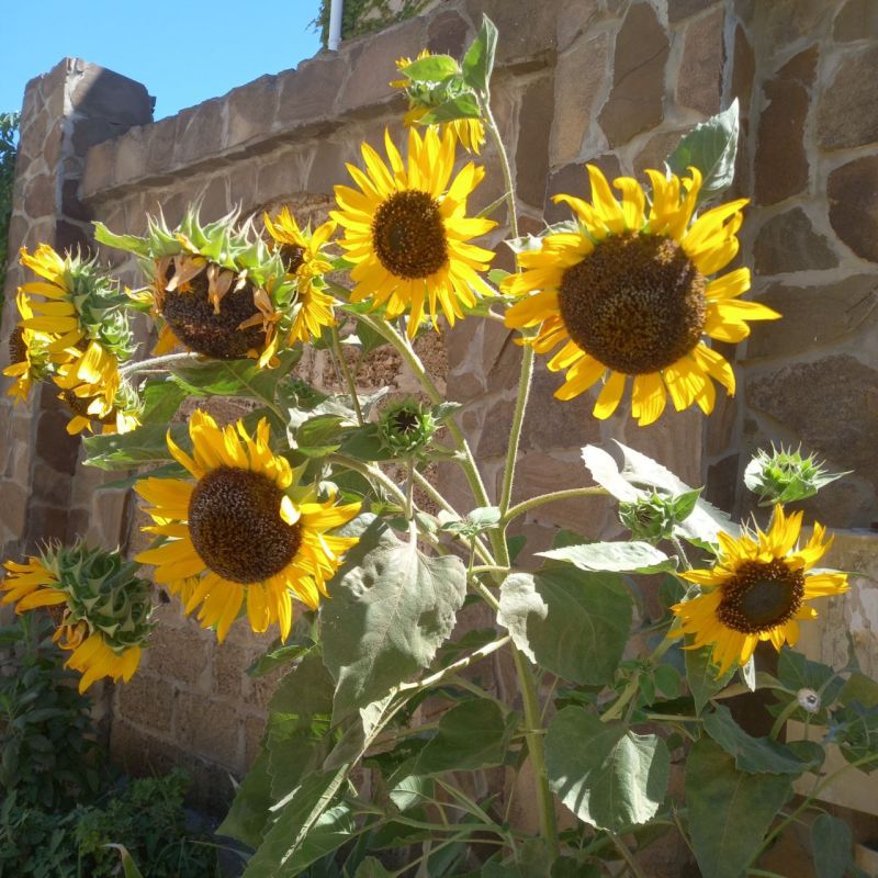 ������� ����, ������!. � ����������� � ������� ����� ������-�������� 6-11�/�