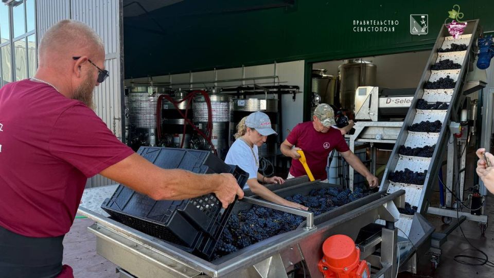 "������� ���������������" - ����� ������ ������ ��������� ������������� ������� "������� �����������"!