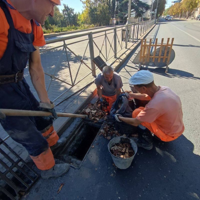 ���������� ���������� �������� ���������������� ������ �� ����� �������� ����������� � ��������� � ������� ������