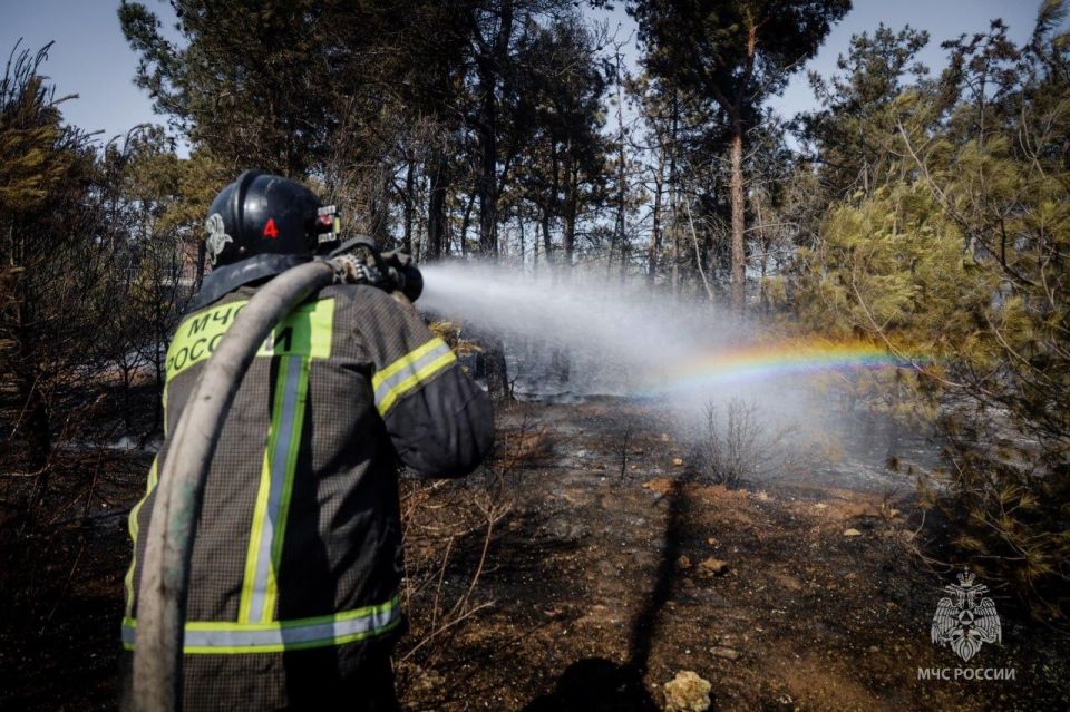 ����� ����� � ������ ���������� ������ � ��� �����������