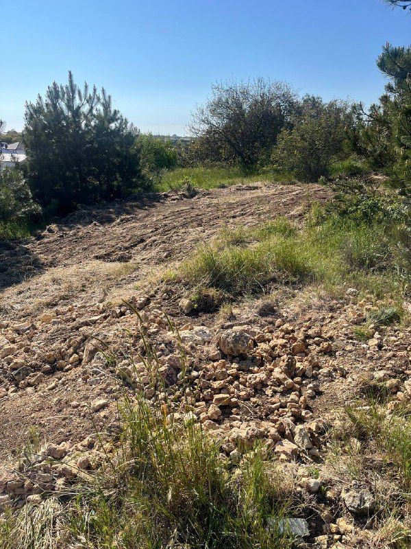 � ����������� ������� ������ �� 6 ��� ������� ������� �� ����������� ���������������� �������