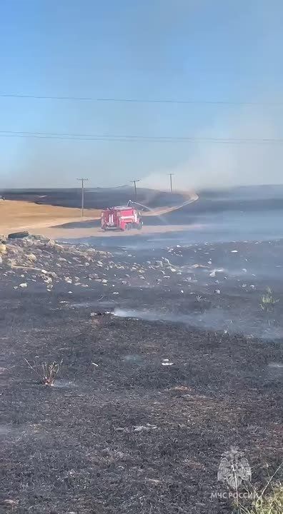 Под Симферополем тушат горящую сухую растительность на 50 га — МЧС