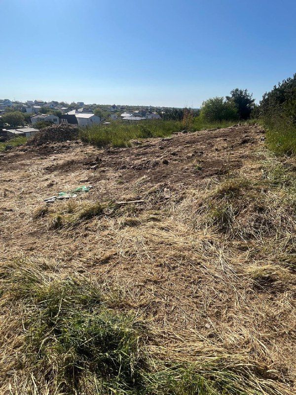 � ����������� ������� ������ �� 6 ��� ������� ������� �� ����������� ���������������� �������