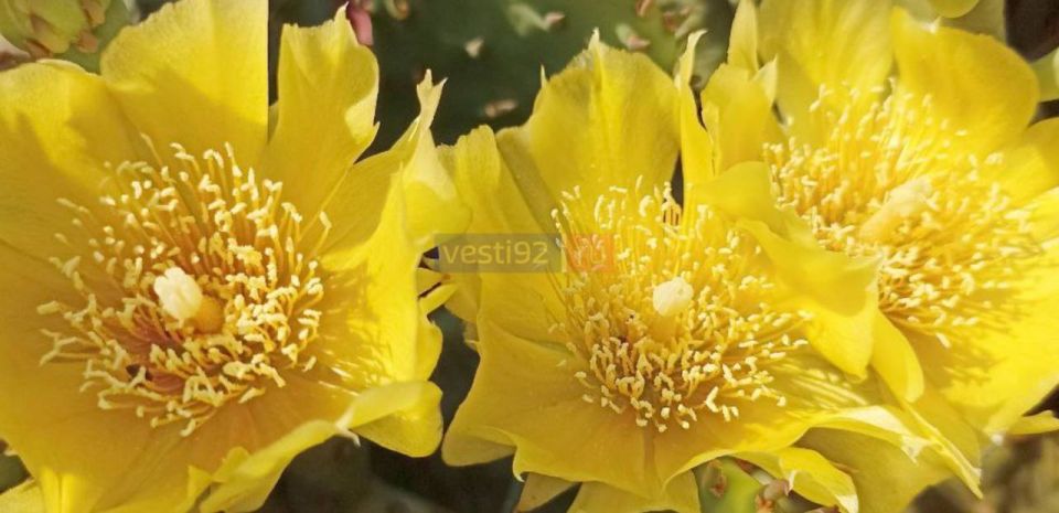 � ������ �����, �����������!