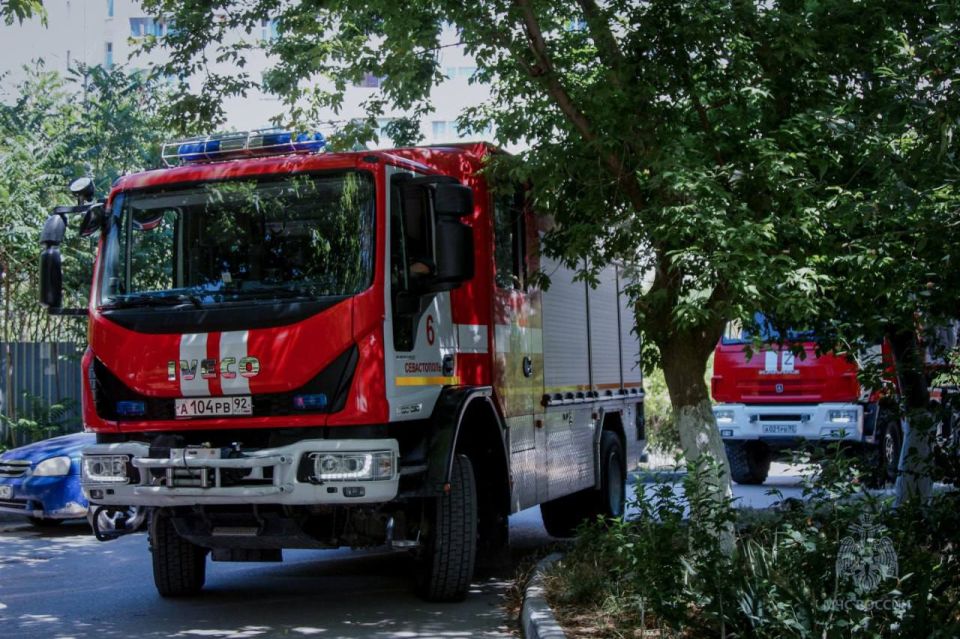 ����������� ��������� ���� �������� ������ �� ����� ������� ����������