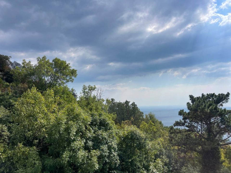 ������� ����, ������!. � ����������� � ������� ��� �������