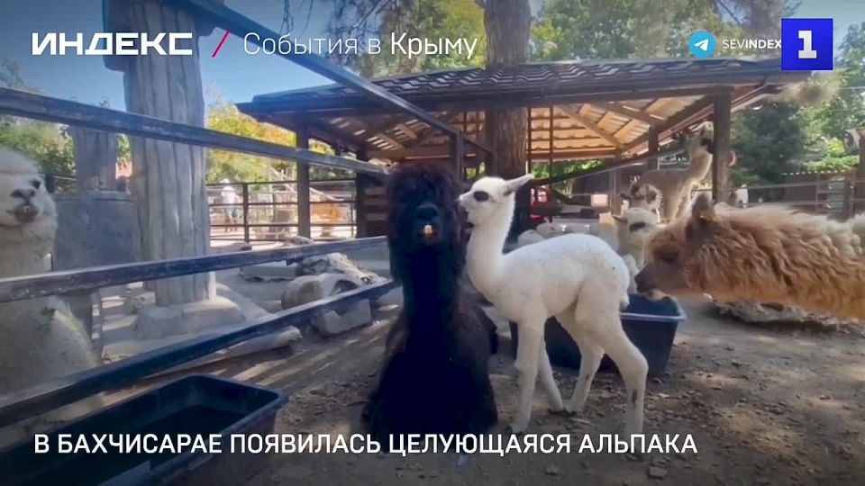 ���������� ������� ��������� � �������������� ����� ��������