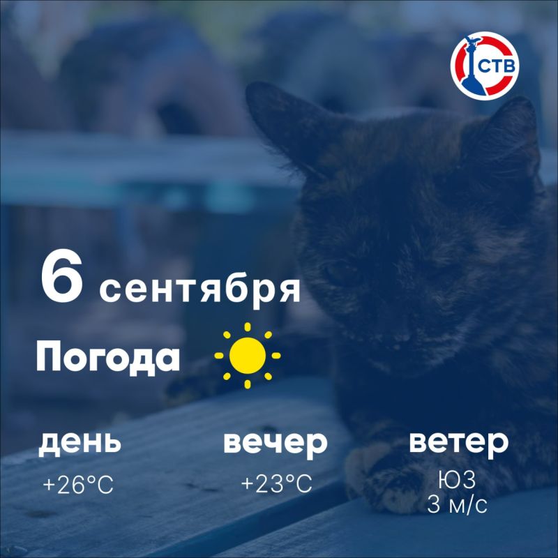 ������ ����, �������������! �������, 6 ��������, � ������ ����