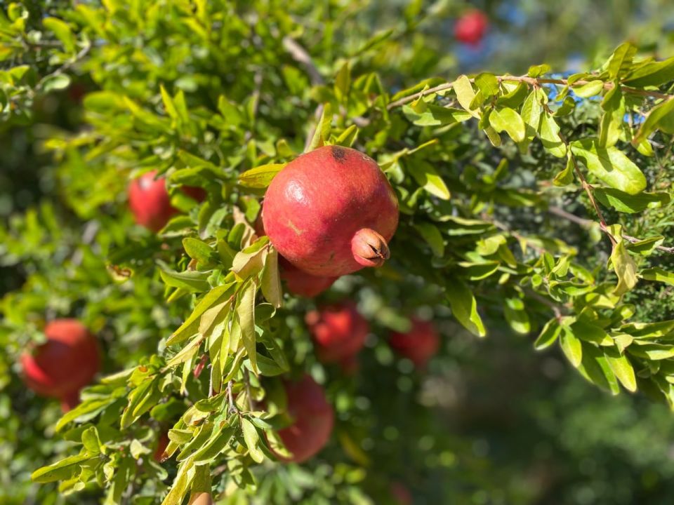 Прогноз погоды в Крыму на 6 сентября