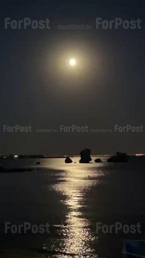  :   