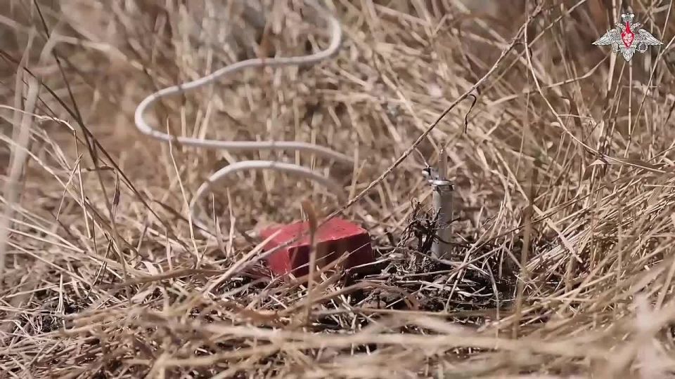 В Запорожской области инженерно-саперные подразделения группировки войск «Днепр» проводят разминирование дорог, обеспечивая безопасное продвижение российской техники и успешное выполнение боевых задач, — Минобороны