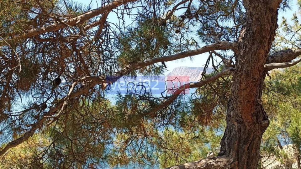 � ������ �����, �����������!