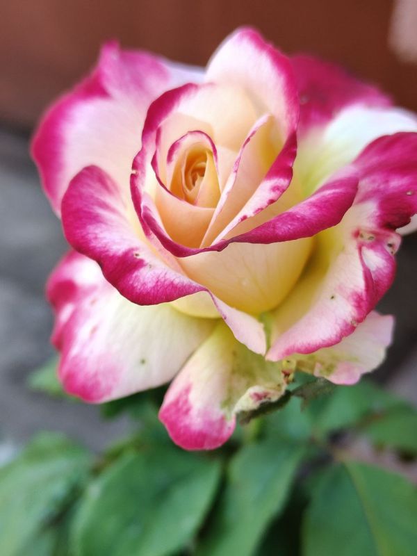 � ������ ���������� �����, ������!