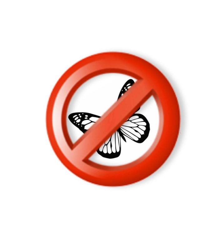 � ����� � ���������� �������� �� ����� �������������� 07.09.2025 �. ������ ���� c 08:00 �� 12:00 07.09.2025 �. (��������������) ������������� �� ����� � ������ ���� �. �����������