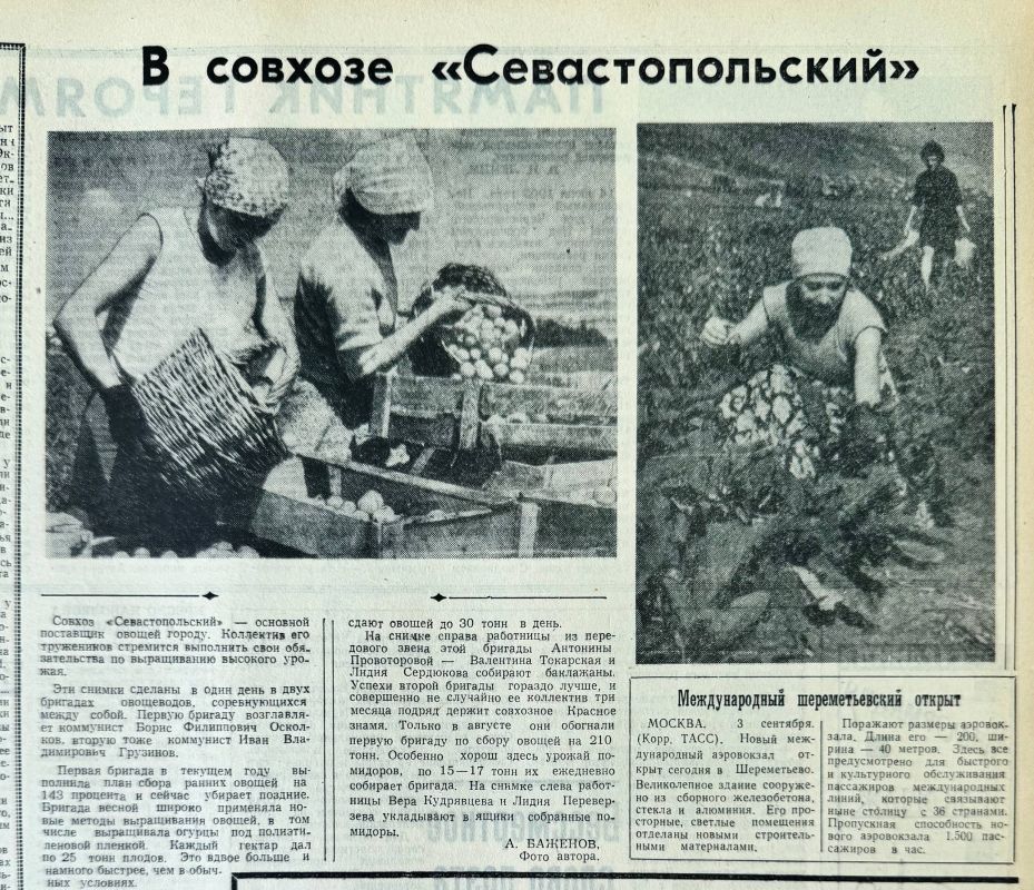 � ������� ����������������