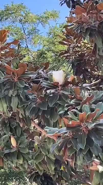 �� ��� ����������� �������� ��� ����������� ������ ��������