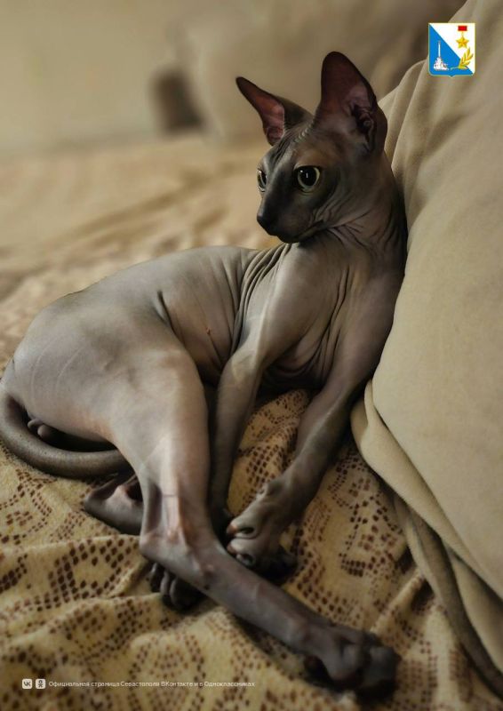 ���������� ����������. 6 �������� ������������ ������� �������� ���������� ���������� ����� � ����� ������ ��������� � ����������� ������, � �������� ��������� � ���������, � ����� ��������� � ����������