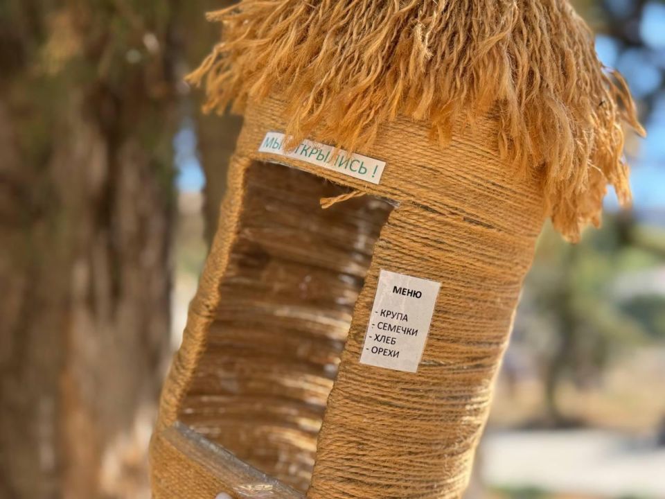 ������� �����: ������ � ������ ������������ �� ����������� �������, ��������� ������������ ������ ������� �������� � ���� ���������� �������� ����������� �������� ��� ���������� ������� ���������� ������