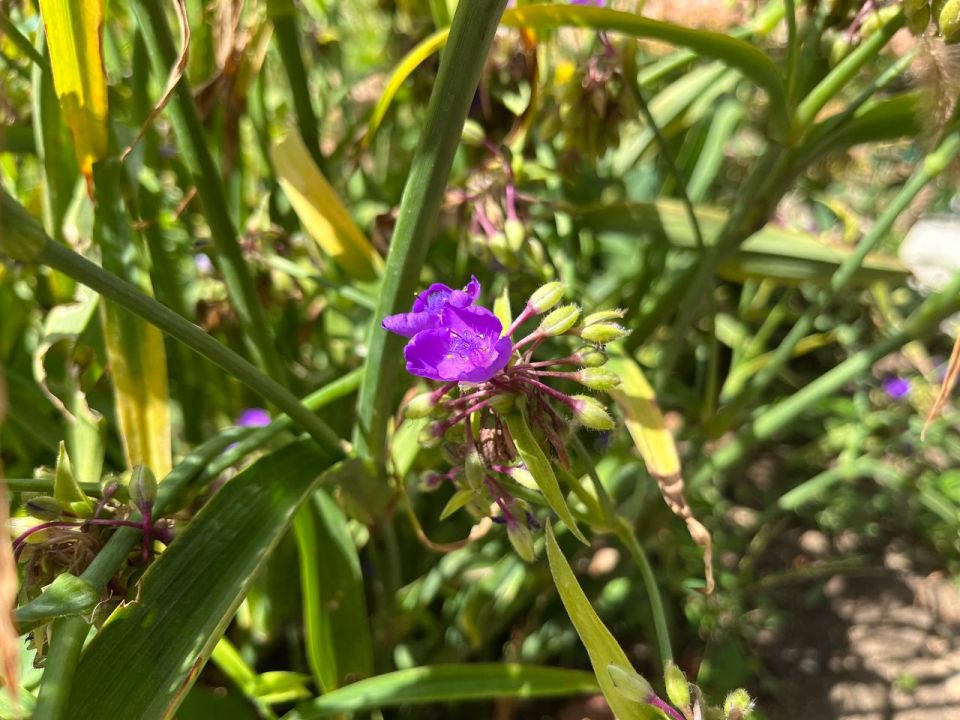 #��� ��� ������?. ��� �������� � ������ �������� � ��������������� �������, ������� ������������ ����� �� ���� ����, �� �� ��� �����, ��� ���� ����� �� ����