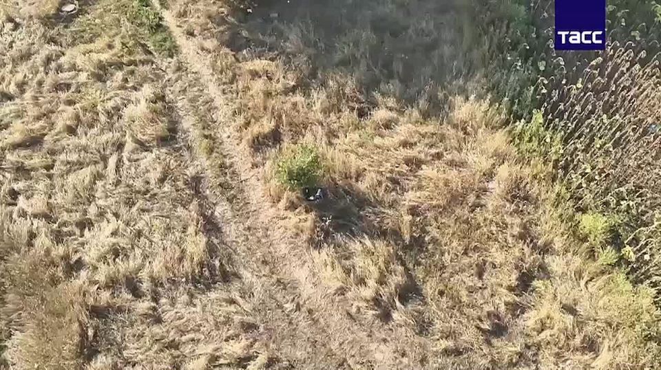 ����� ���������� ���������� ������������, �������������� ������� � �������������� ����, �������� ���