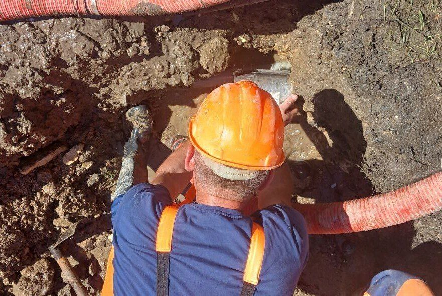 ���������: ������� �������. ��������-����������������� ������ �� ����� �������������