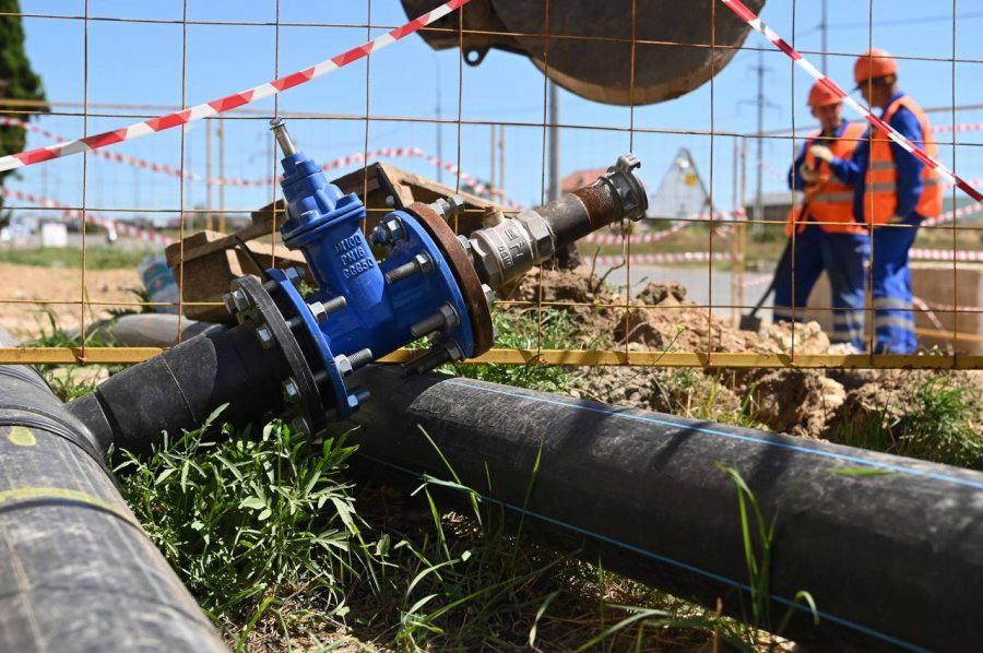 ������� ������������� ����������� �������������� �� ���� ����������� ��������� �������