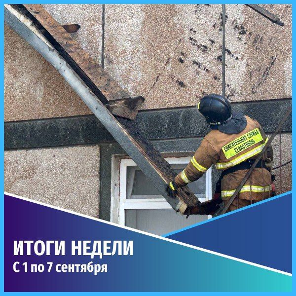 ������������ ������������