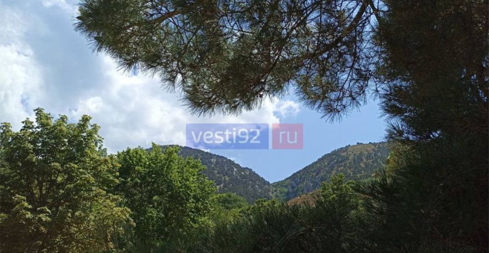 ����� ���������� �������� �������: ������ ������ �������� ��� ����������� ��-����������