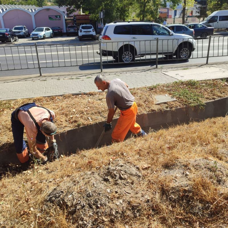 ���������: ������� �������. ���������� ������� ��������