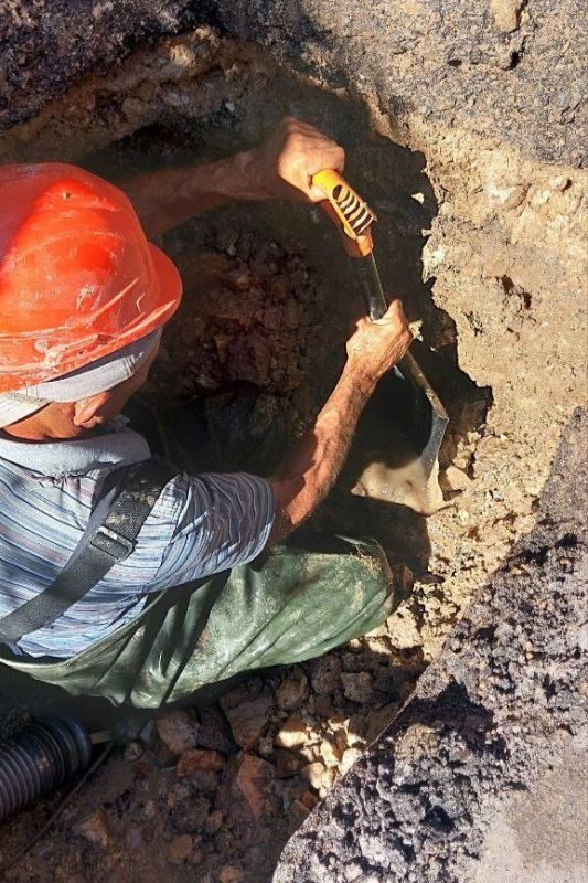 ���������: ������� �������. ��������-����������������� ������ �� ����� �������������