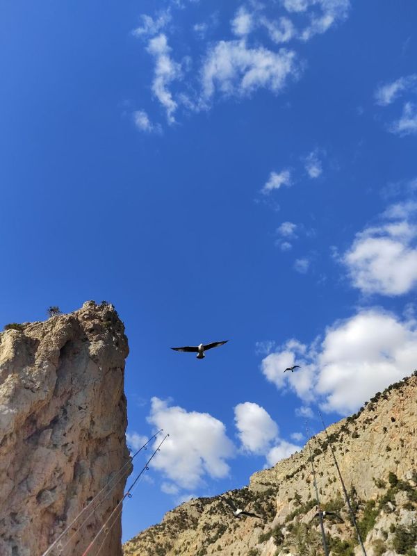 ������ ����, ������!. � ����������� ��� ������������ �������