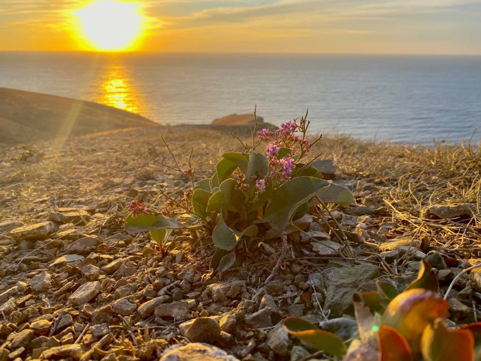 ������� ������ � ����� �� 8 ��������