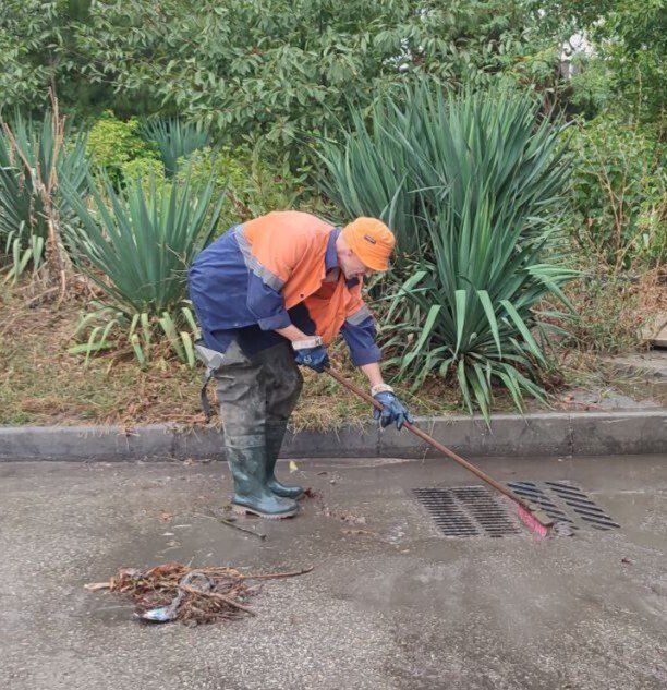 ������� ����.... ���������� "����������" ��������� �������� ���������� ��������� �������� �������