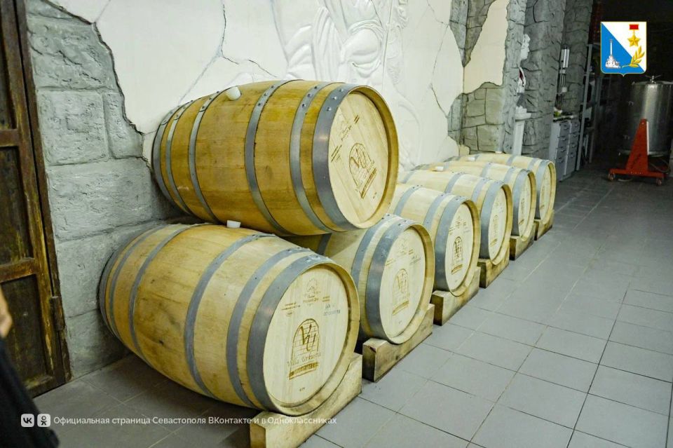 Благодаря господдержке в Севастополе развиваются семейные винодельни и малые виноградарские предприятия