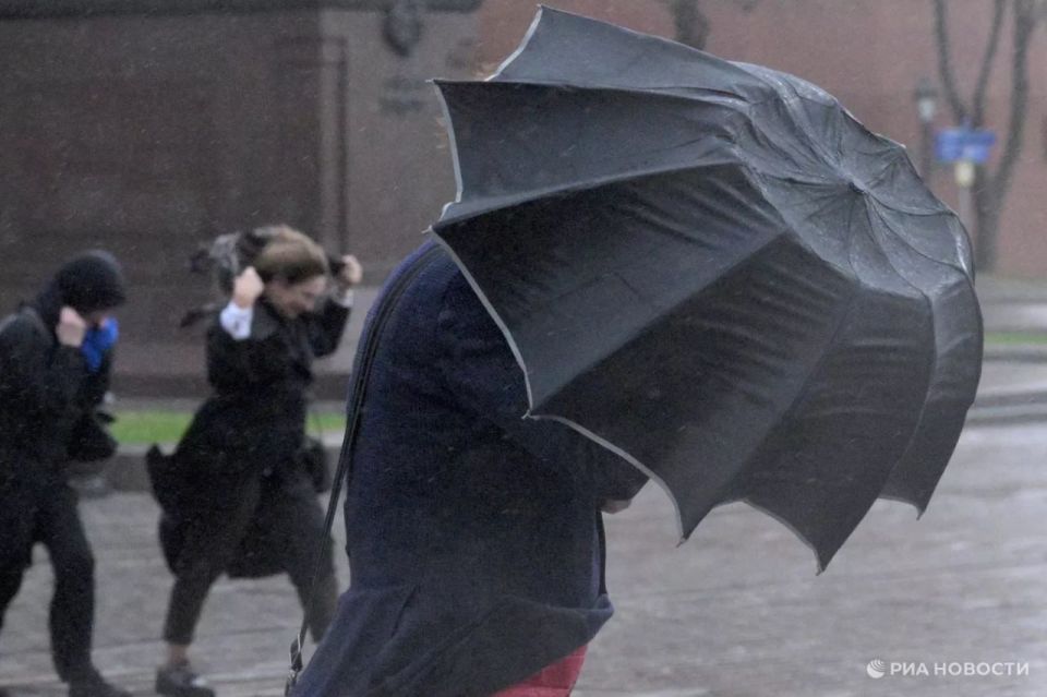 �� ����������� ����� ���������� ��������